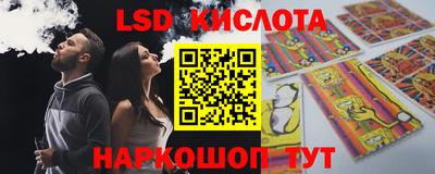 дмт Новокубанск