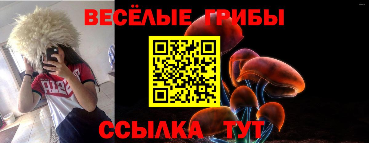 Псилоцибиновые грибы Magic Shrooms  Вход с VPN  Псилоцибиновые грибы MAGIC MUSHROOMS  цены наркотик  Чистополь 